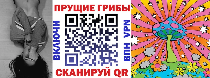 Галлюциногенные грибы Cubensis Солнечногорск